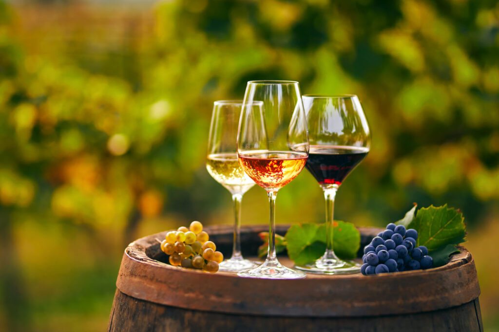 Calici di vino Cantina dell’Oltrepò Pavese